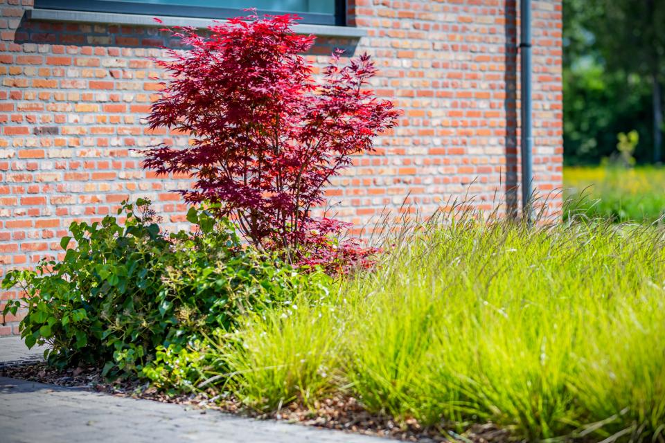De Boeck Tuinarchitectuur