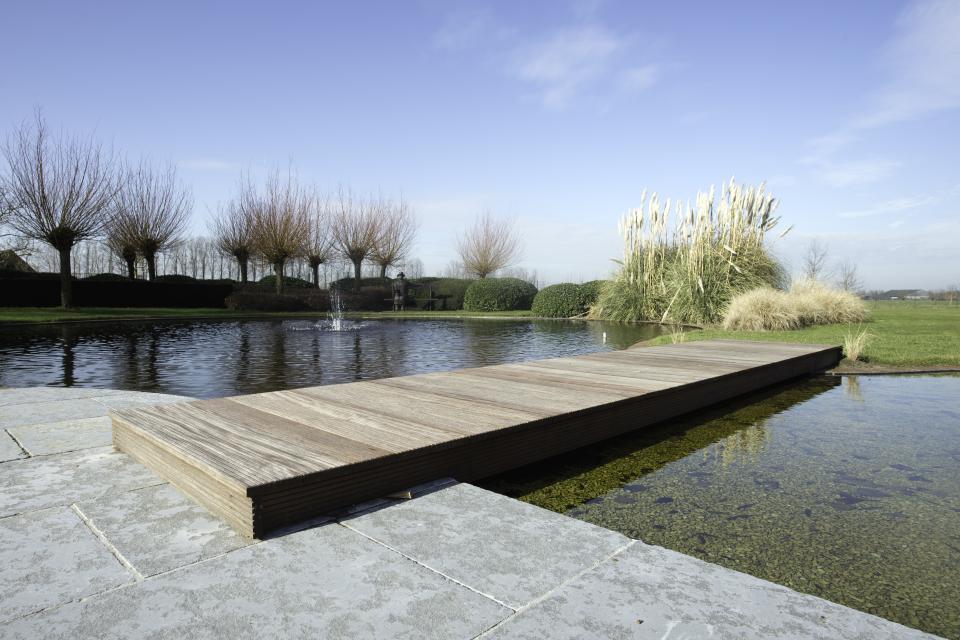 Zwemvijver In Vijver