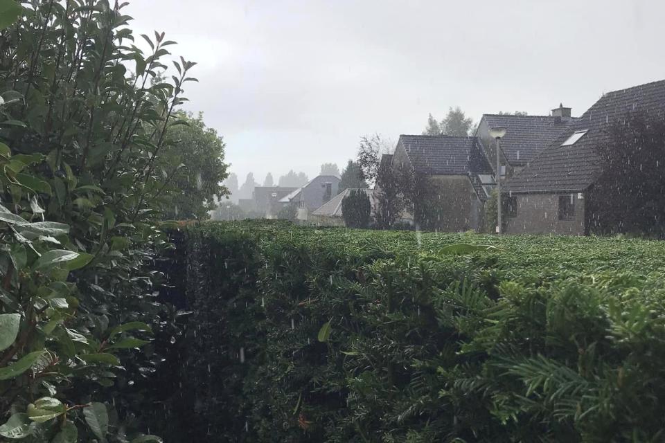 De Zuidgroen