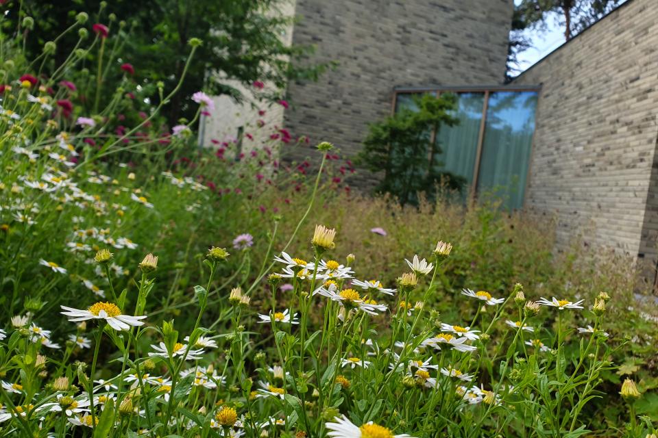 Ecologische tuin Schoten