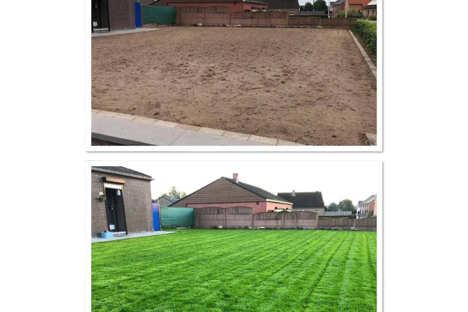 Eykenboom Tuinwerken