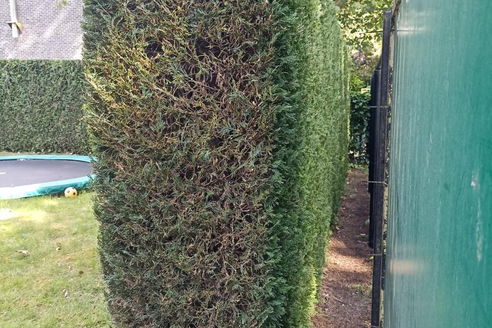 Flora Worx bv