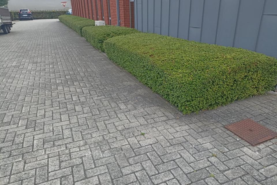 Flora Worx bv