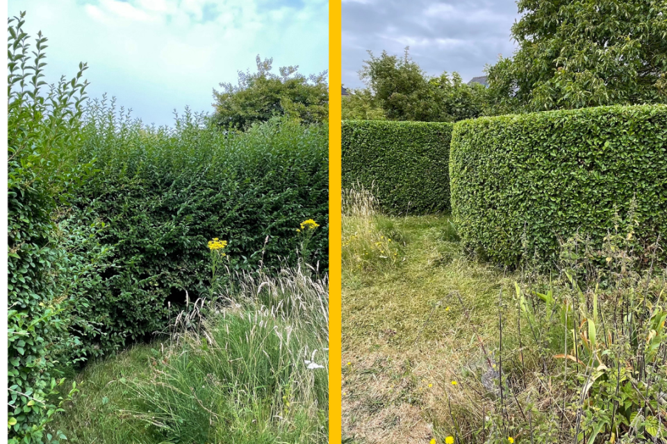 Scheer- en snoeiwerken in een natuurrijke tuin