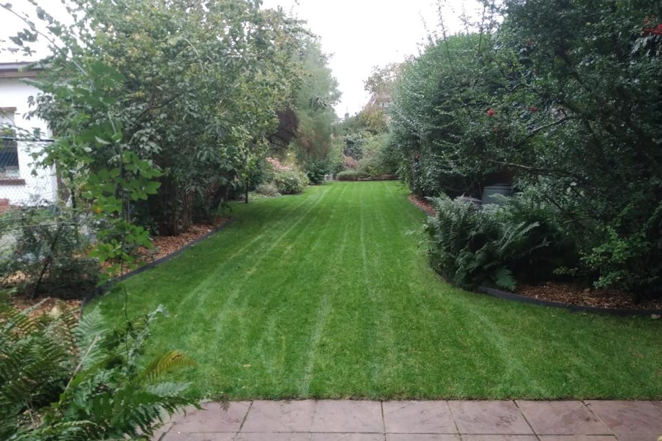 Tuin Berchem - 1 maand na aanleg gazon 