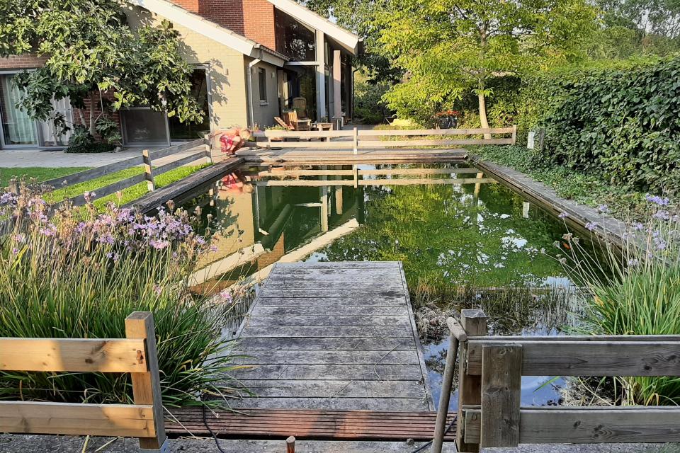 Zwemvijver met pond Bouwel