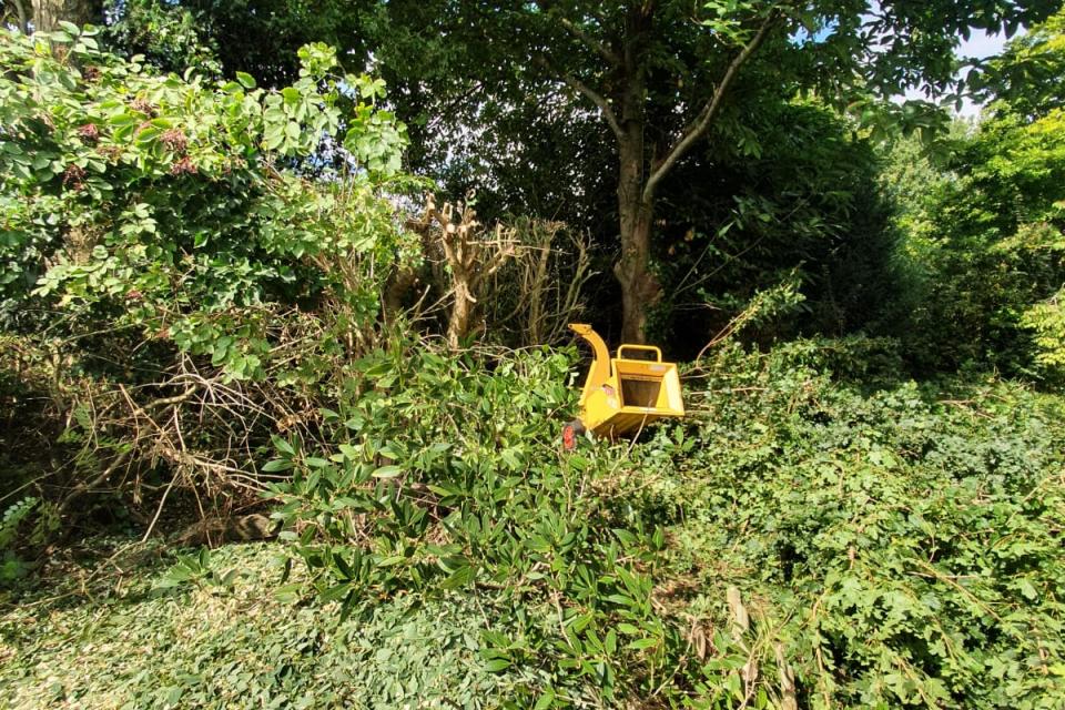 Grote opkuis tuin