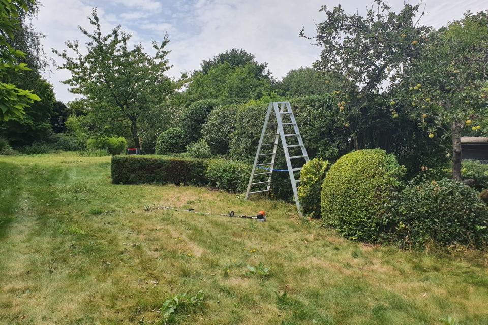 Het Groen Effect