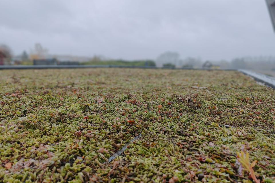 Kruibeke