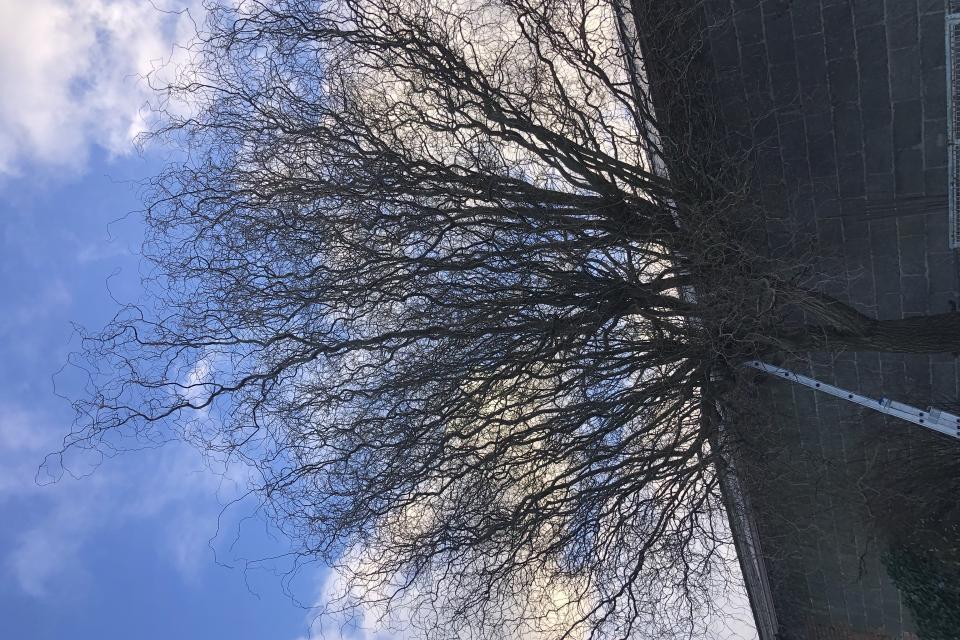 JVA Tuinen