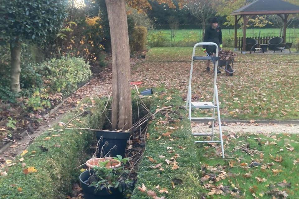 Tuin te Diest voor werken