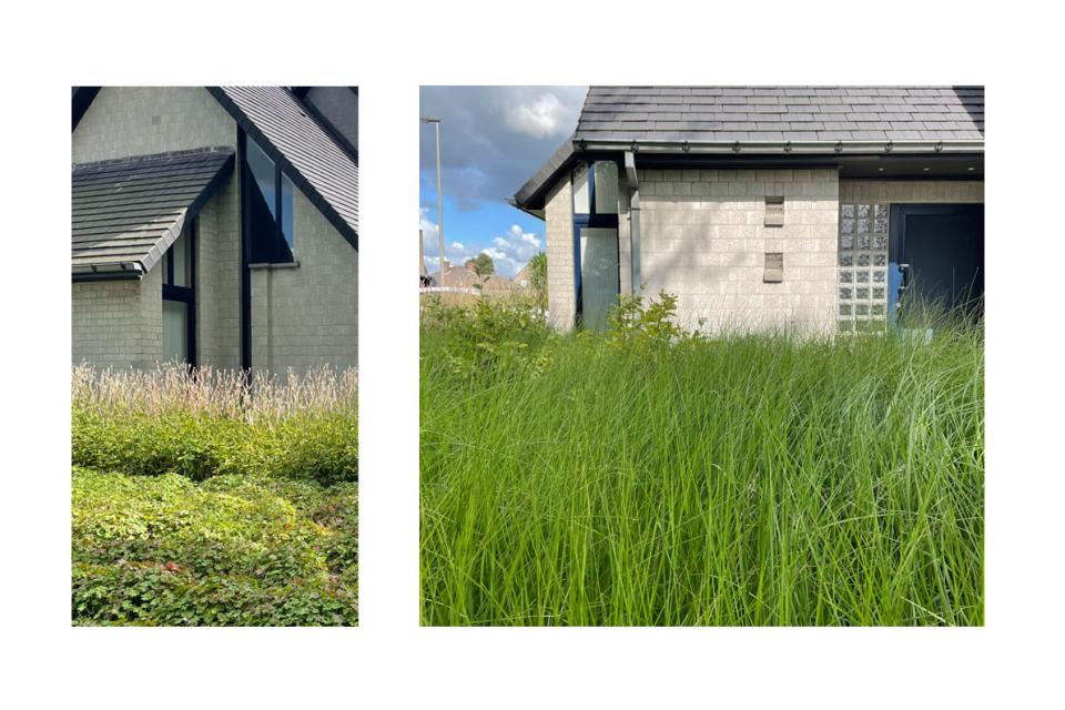 Ecologische landelijke tuin 