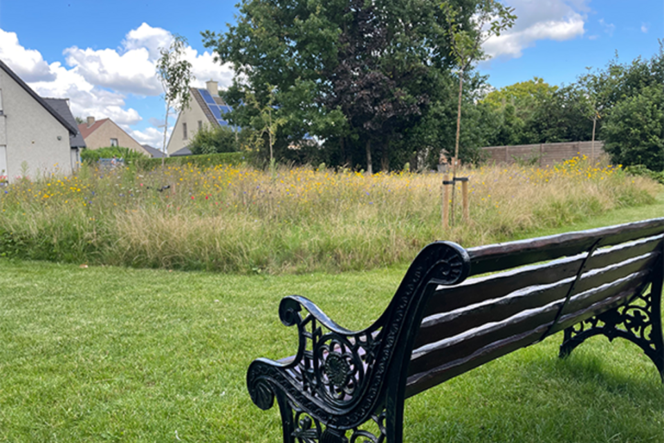 Ecologische landelijke tuin 