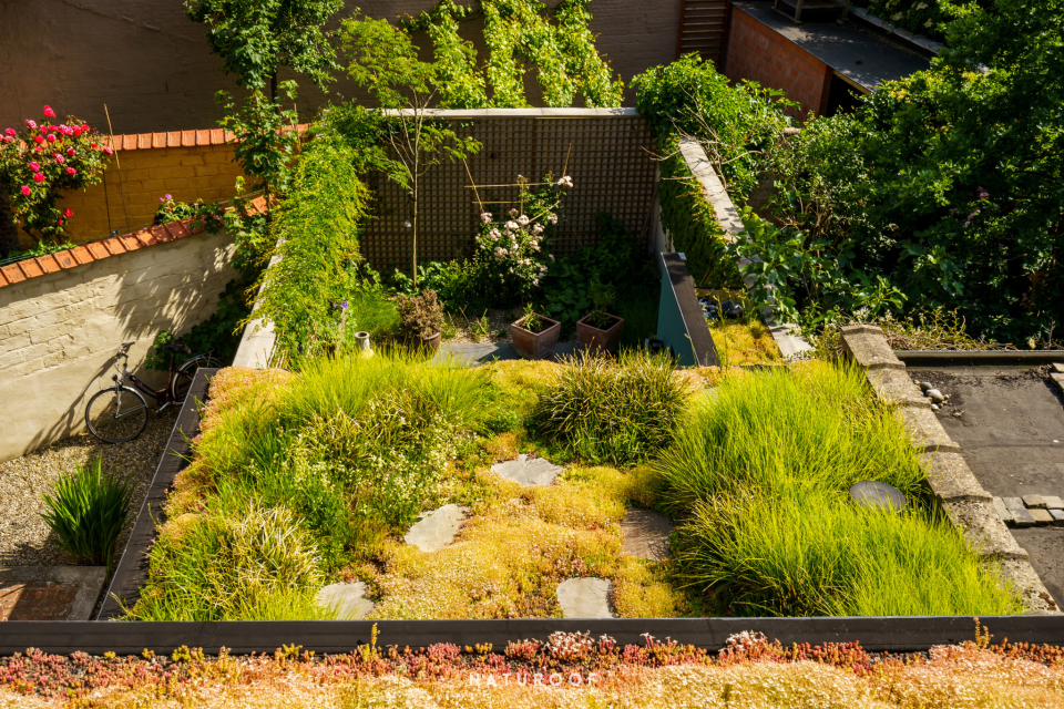 Semi-intensief groendak met grassen en vaste beplanting in Gent 