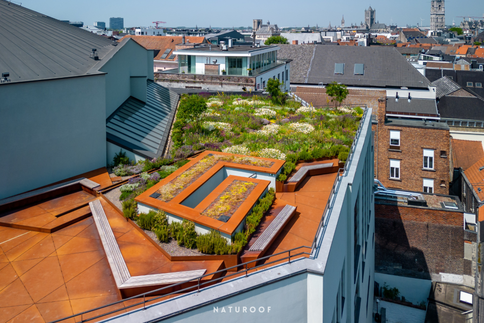 Intensieve daktuin met vaste beplanting, waterelementen en zitbanken in Gent