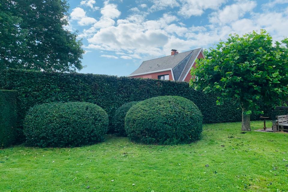 Algemeen tuinonderhoud