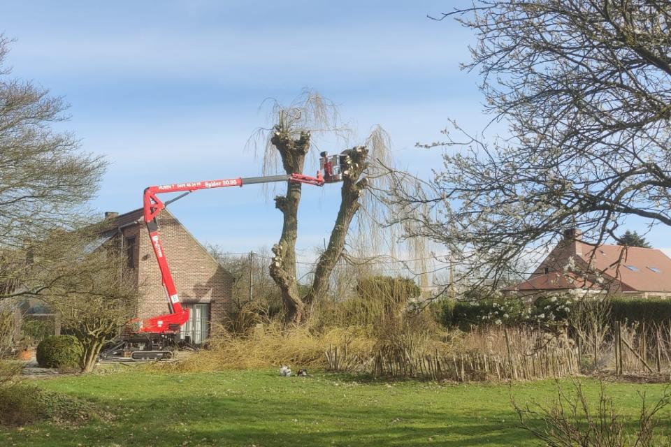 Snoeien en vellen van bomen met hoogtewerker