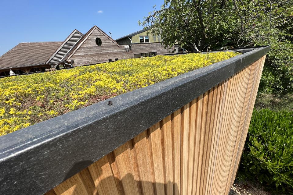 Groendak als bloemenweide in de zomer