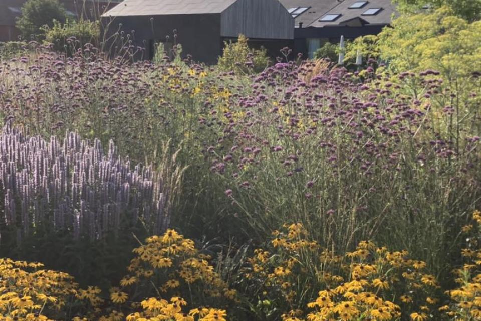 Landschapstuin 