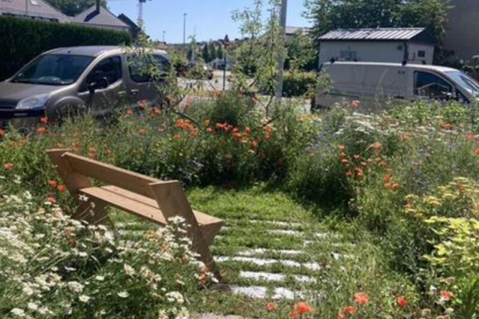 Wilde tuin 