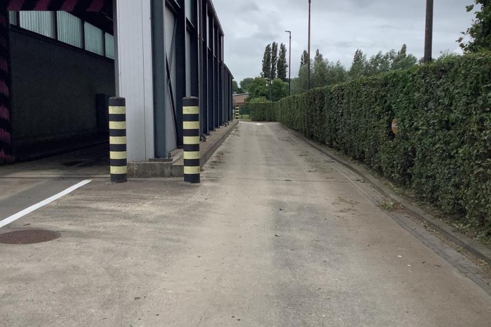 Ster Tuinen