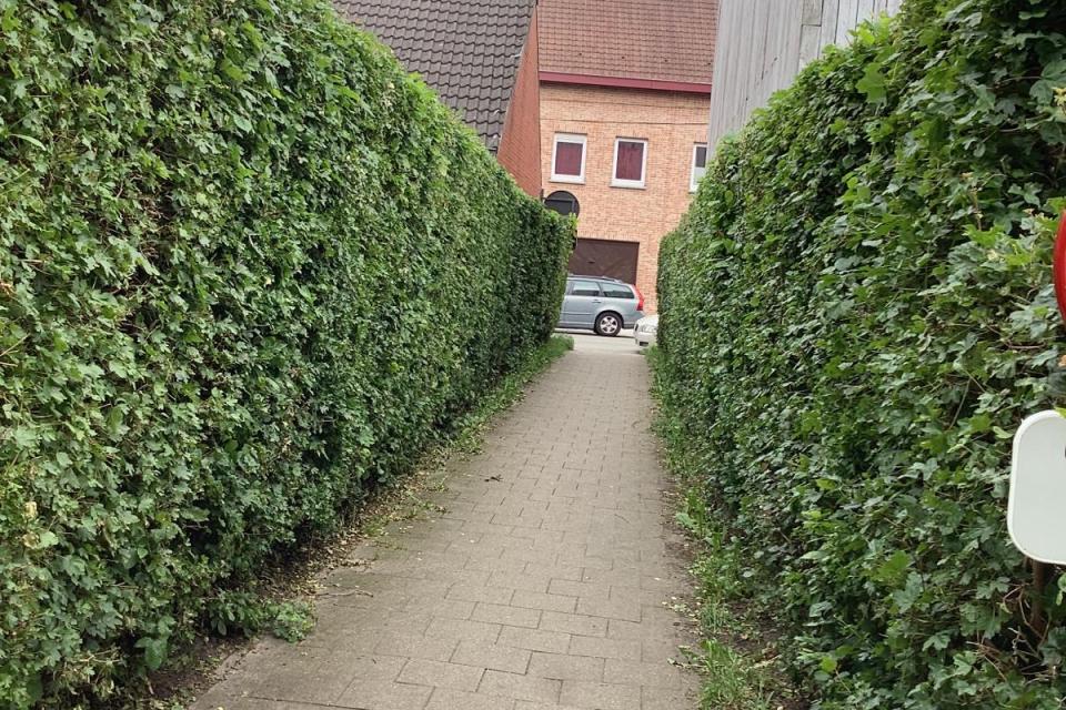 Ster Tuinen