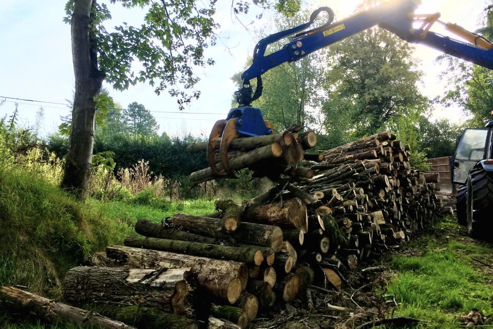 Treework.be