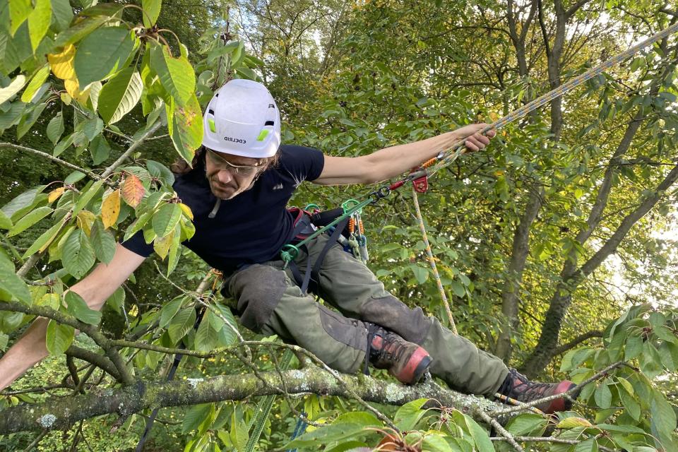 Treework.be