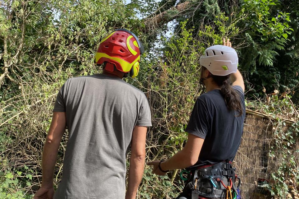 Treework.be