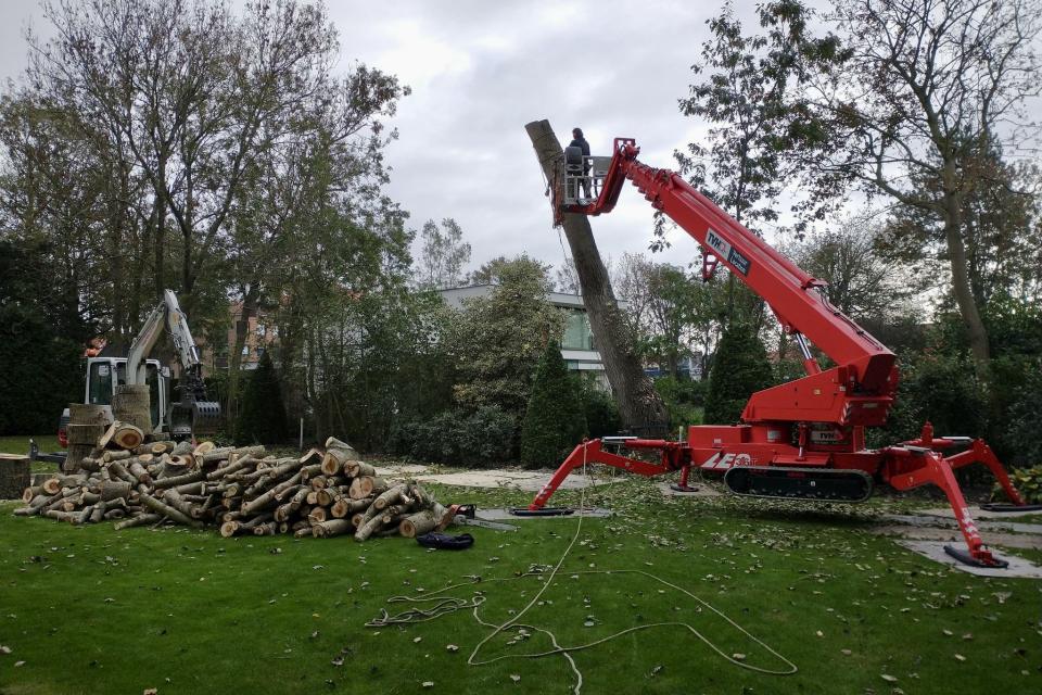 Treework.be