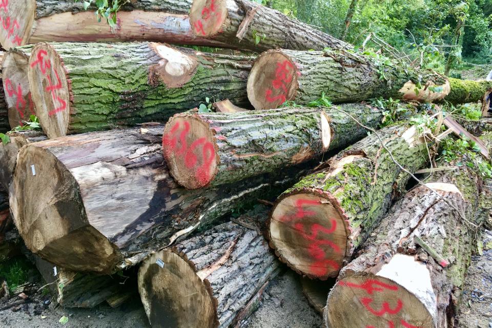 Treework.be