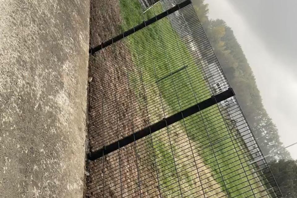 Tuinbeau