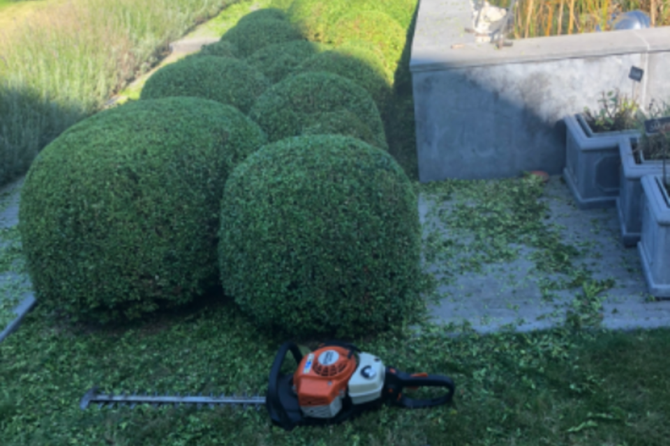 Tuinbeau