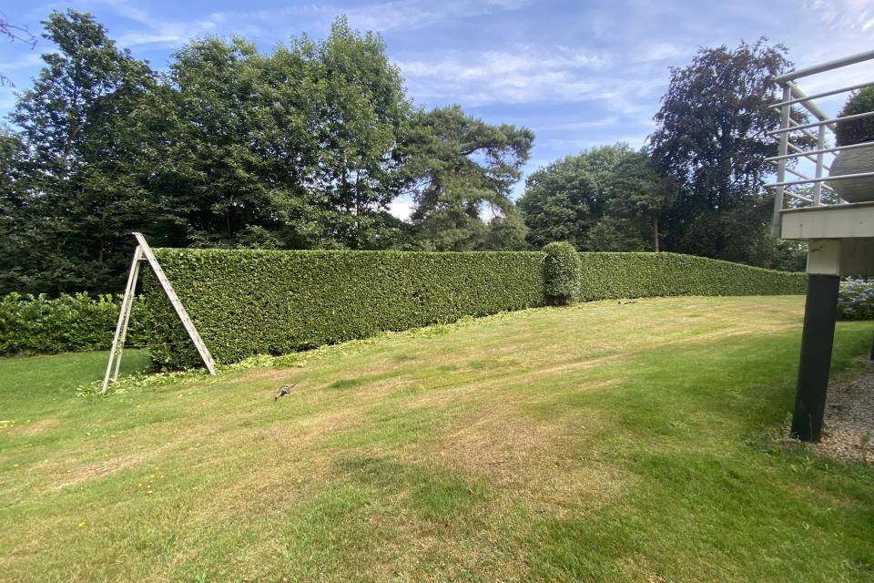 Tuinderij bv