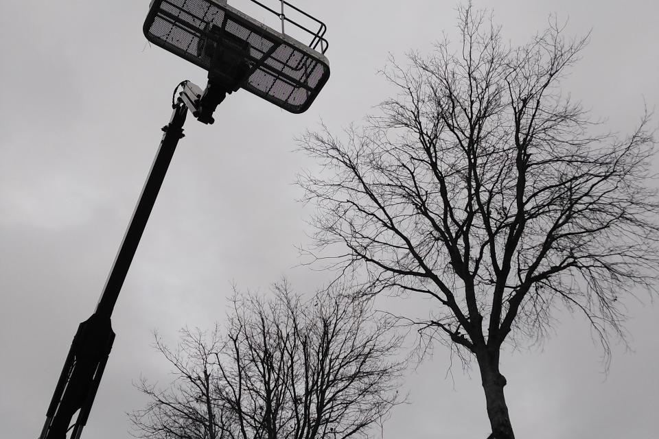Tuindesign Pottier