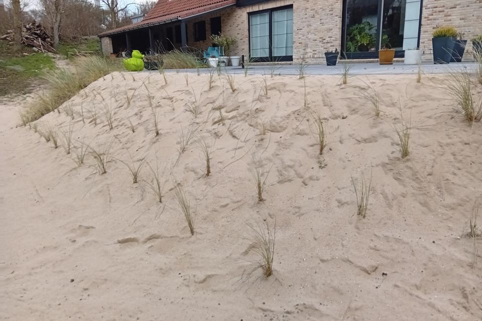 Transformatie naar een kusttuin