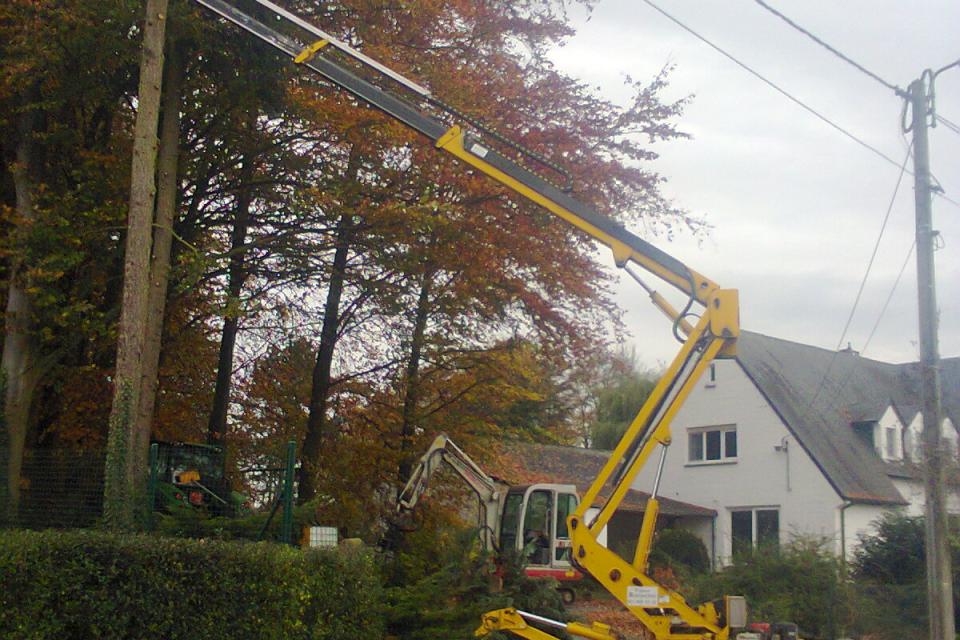 snoeien van bomen met spinhoogwerker