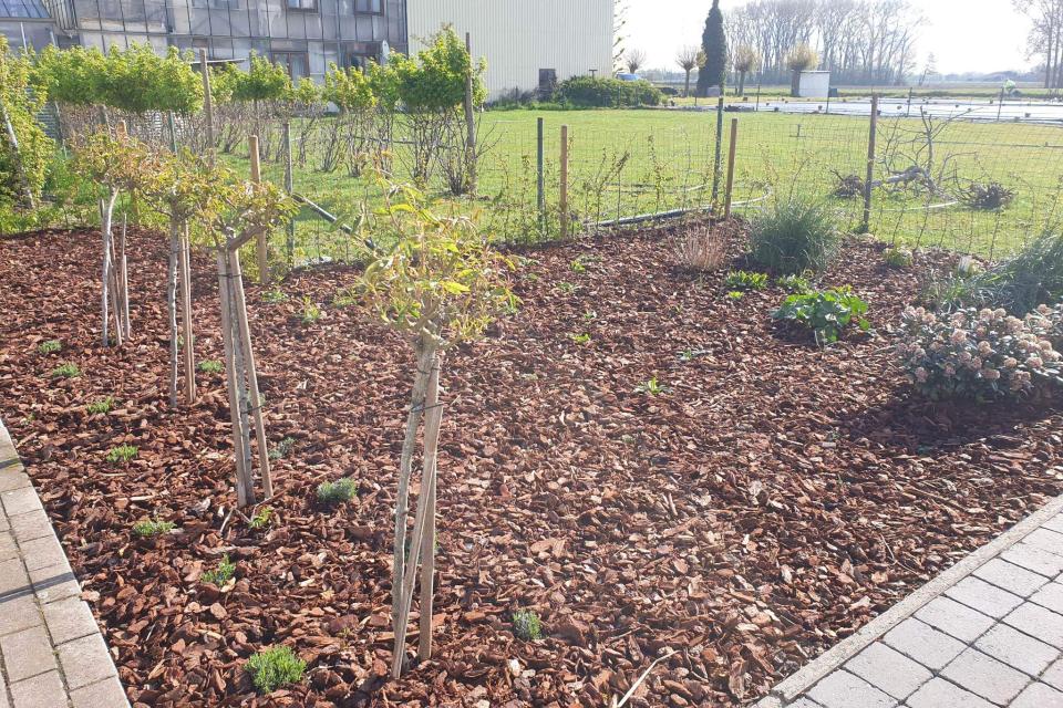 heraanleg van tuin