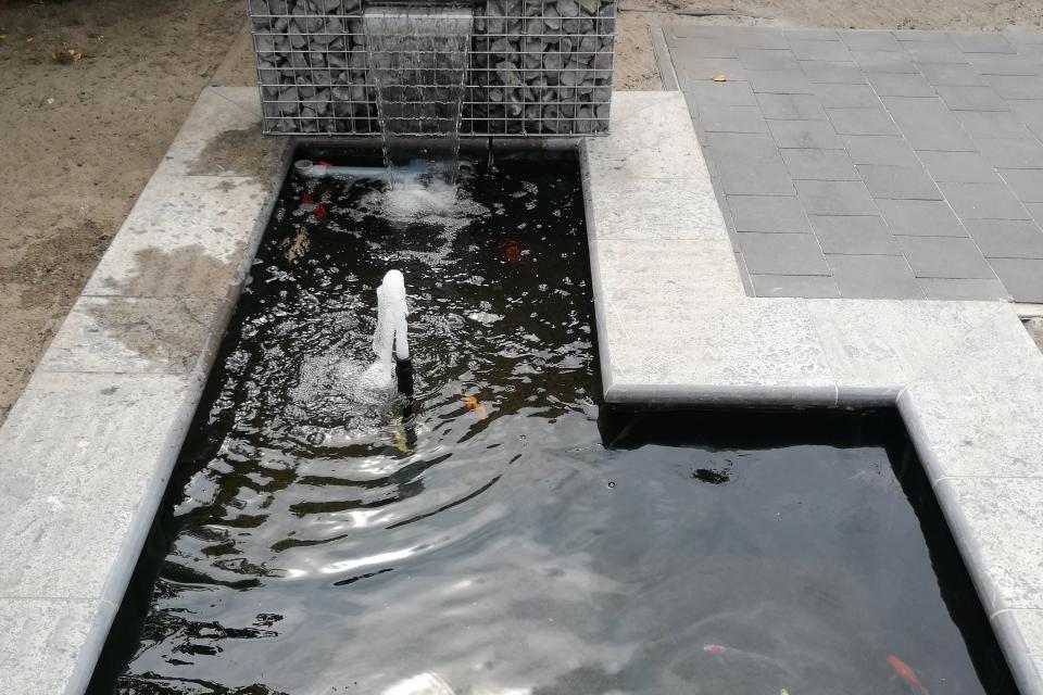 kleine visvijver met waterval 