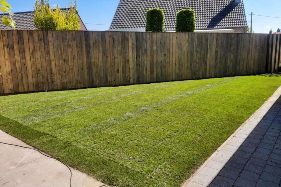 Graszoden aanleg + wandbekleding 