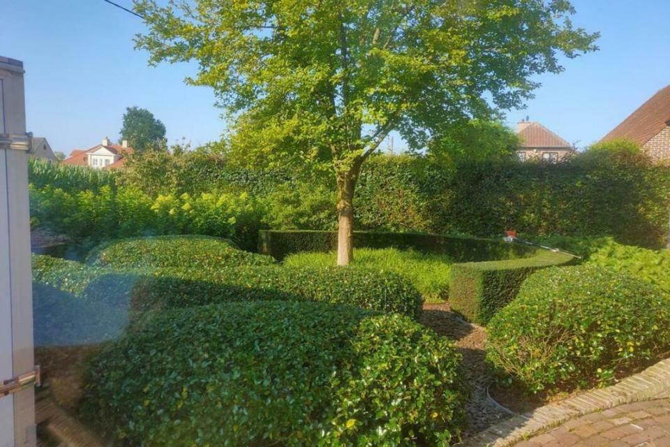 Vormsnoei / Onderhoud Voortuin 