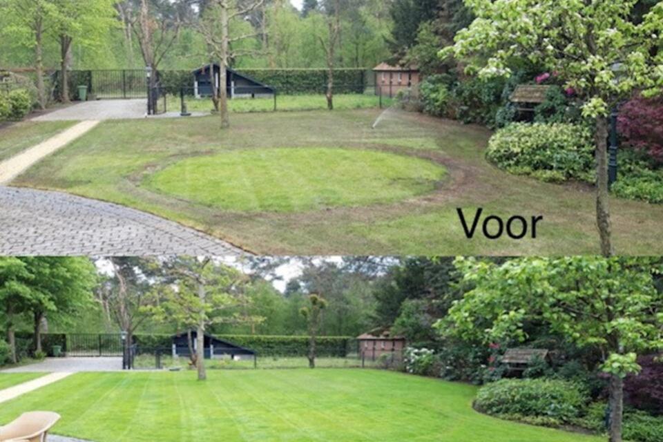 grasrenovatie