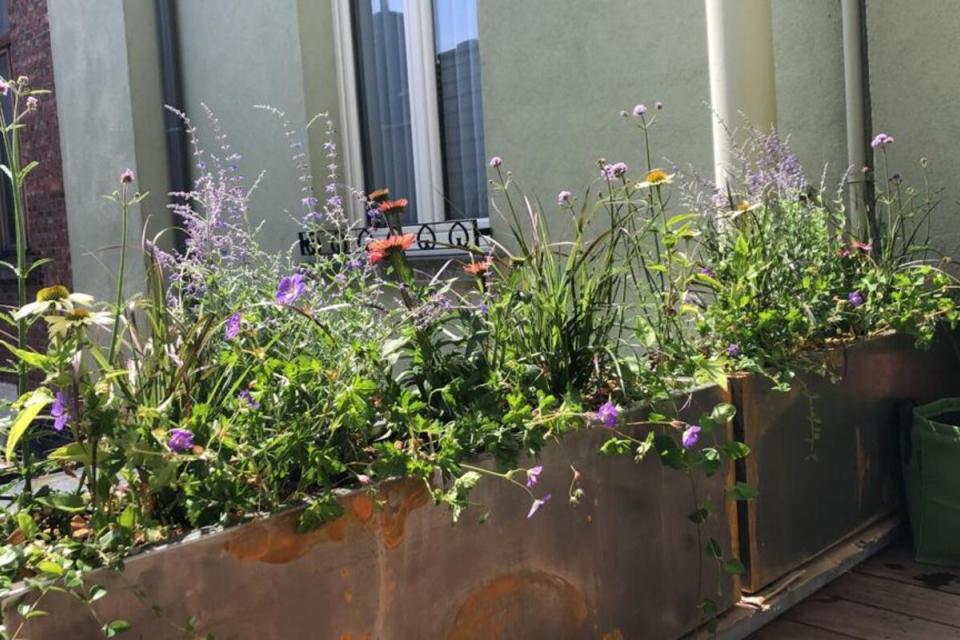 Cortenstaalbakken op maat gemaakt met aanplanting