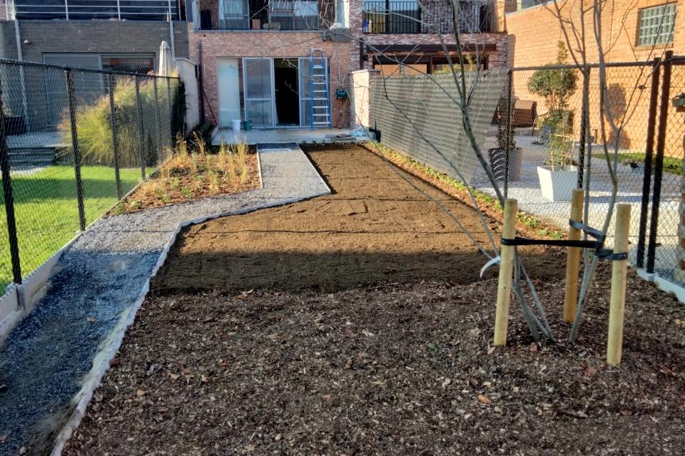 Aanleg van tuin, beplanting en boom