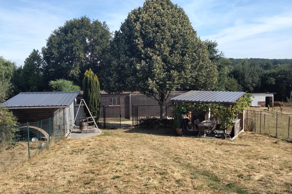 Opkronen van linde en onderhoud van verwilderde tuin