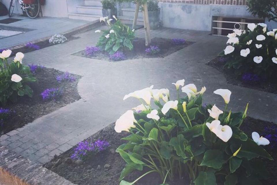 Tuinonderhoud