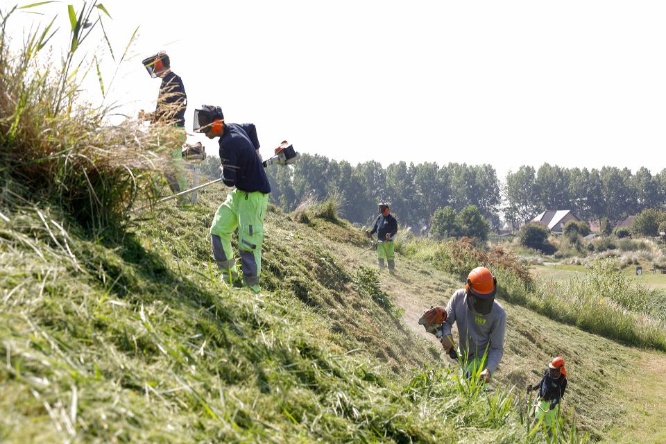 Natuurbeheer met advies vanuit onze ecologische knowhow