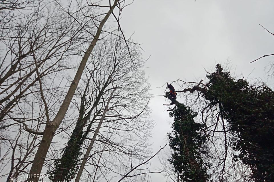 Verwijderen stormschade