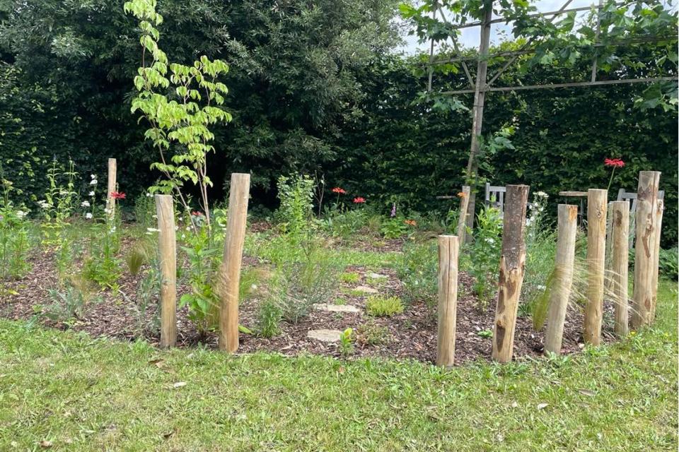 border natuurlijke tuin Oelegem