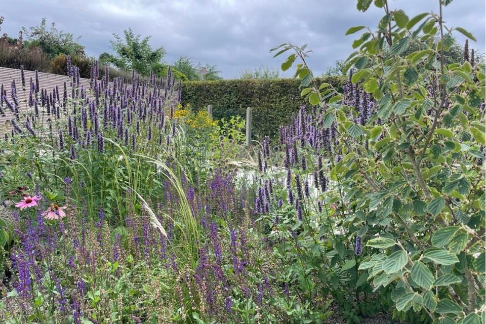 Prairietuin in Diest